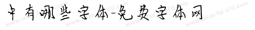 中有哪些字体字体转换