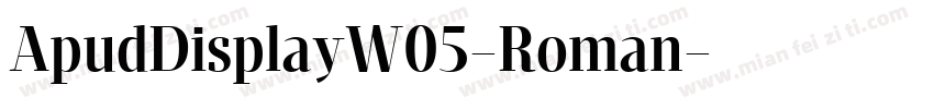 ApudDisplayW05-Roman字体转换