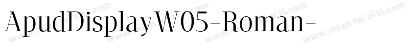 ApudDisplayW05-Roman字体转换