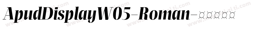 ApudDisplayW05-Roman字体转换
