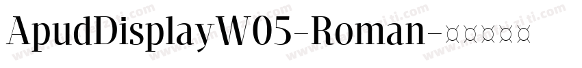 ApudDisplayW05-Roman字体转换