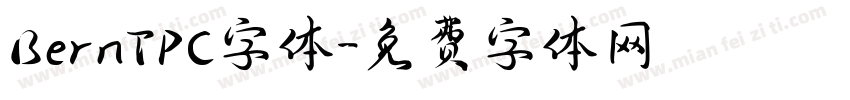 BernTPC字体字体转换