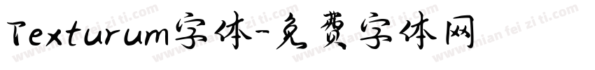 Texturum字体字体转换