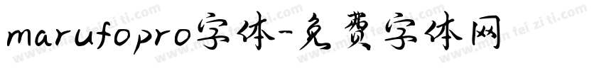 marufopro字体字体转换