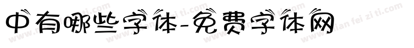 中有哪些字体字体转换