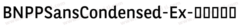 BNPPSansCondensed-Ex字体转换