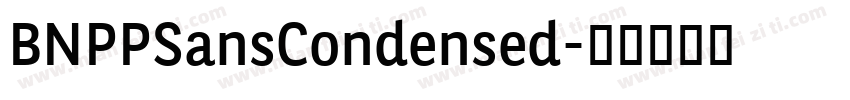 BNPPSansCondensed字体转换