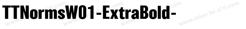 TTNormsW01-ExtraBold字体转换