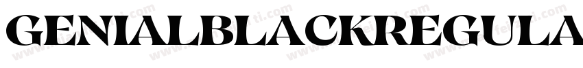 GenialBlackRegular字体转换