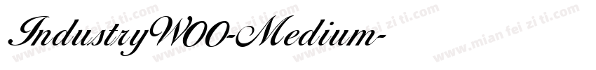 IndustryW00-Medium字体转换
