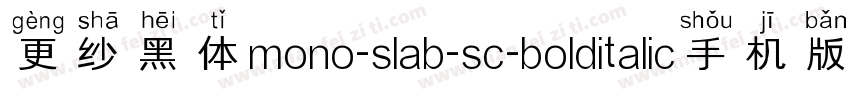 更纱黑体mono-slab-sc-bolditalic手机版字体转换
