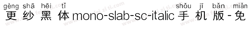更纱黑体mono-slab-sc-italic手机版字体转换