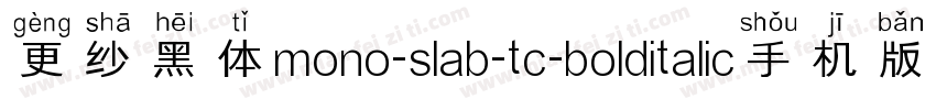 更纱黑体mono-slab-tc-bolditalic手机版字体转换