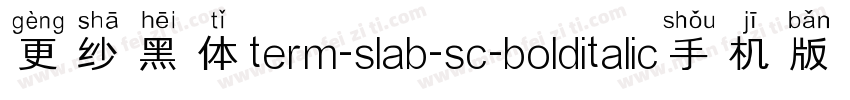 更纱黑体term-slab-sc-bolditalic手机版字体转换