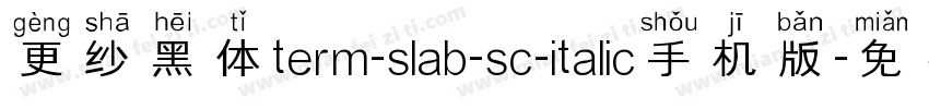 更纱黑体term-slab-sc-italic手机版字体转换