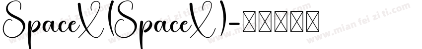 SpaceX(SpaceX)字体转换