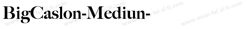 BigCaslon-Mediun字体转换