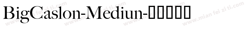 BigCaslon-Mediun字体转换