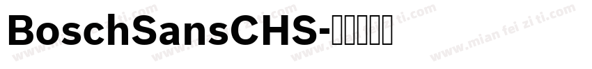 BoschSansCHS字体转换