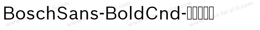 BoschSans-BoldCnd字体转换