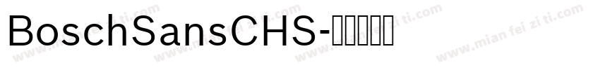BoschSansCHS字体转换