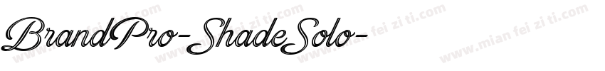 BrandPro-ShadeSolo字体转换