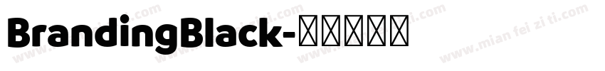 BrandingBlack字体转换