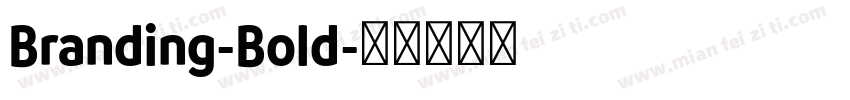 Branding-Bold字体转换