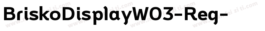 BriskoDisplayW03-Reg字体转换