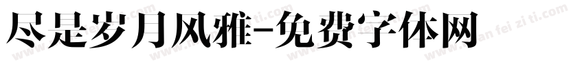 尽是岁月风雅字体转换
