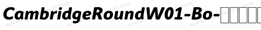 CambridgeRoundW01-Bo字体转换