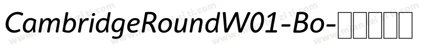 CambridgeRoundW01-Bo字体转换