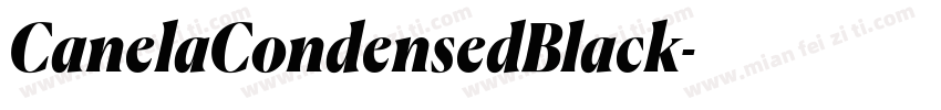 CanelaCondensedBlack字体转换