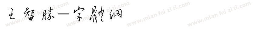 王智胜收到字体转换