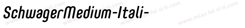 SchwagerMedium-Itali字体转换