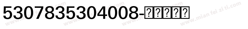 5307835304008字体转换