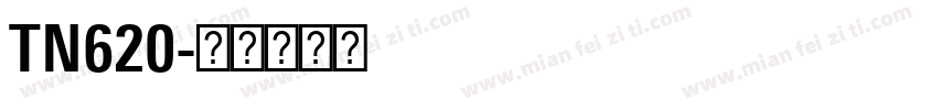 TN620字体转换