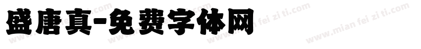 盛唐真字体转换