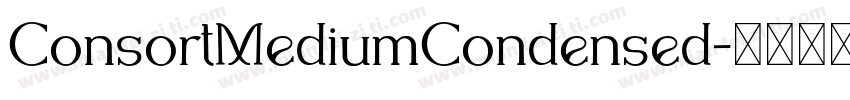 ConsortMediumCondensed字体转换