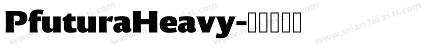 PfuturaHeavy字体转换