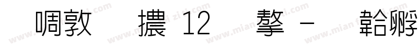 新細明體12號字字体转换