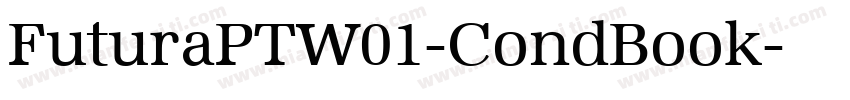 FuturaPTW01-CondBook字体转换