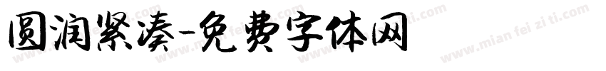 圆润紧凑字体转换