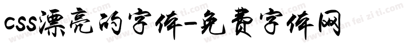 css漂亮的字体字体转换