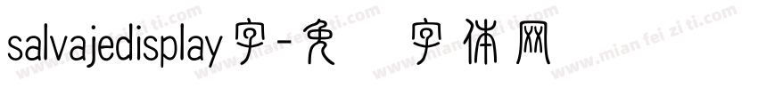 salvajedisplay字字体转换