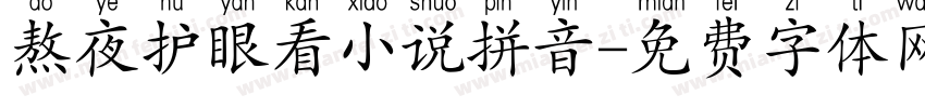 熬夜护眼看小说拼音字体转换
