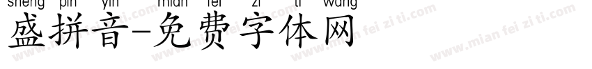 盛拼音字体转换