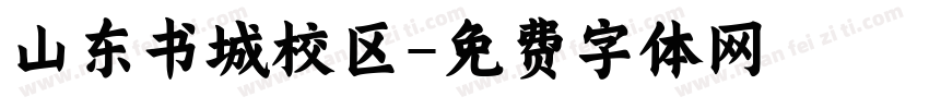 山东书城校区字体转换