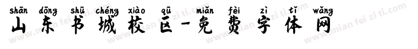 山东书城校区字体转换