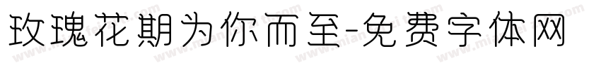 玫瑰花期为你而至字体转换